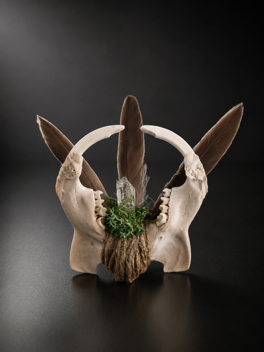 The Guardian Talisman