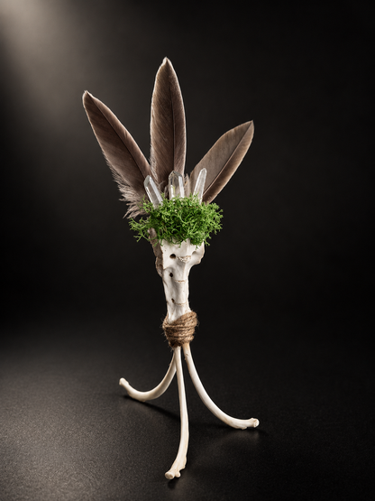 Bone Oracle Talisman